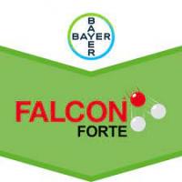 Falcon Forte 5L